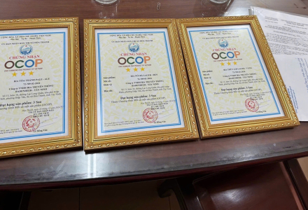 Otter Bia Đạt Ocop 3 Sao